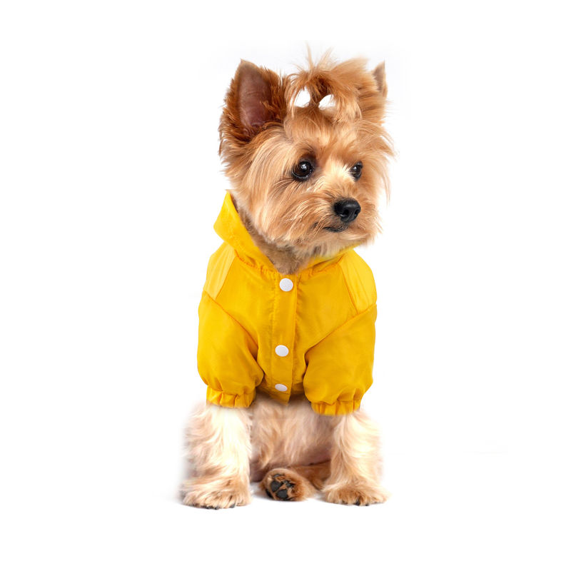 Outdoor Reflective Pet Raincoat Unique luminous Rain Jackets With Storage Bag For Dogs