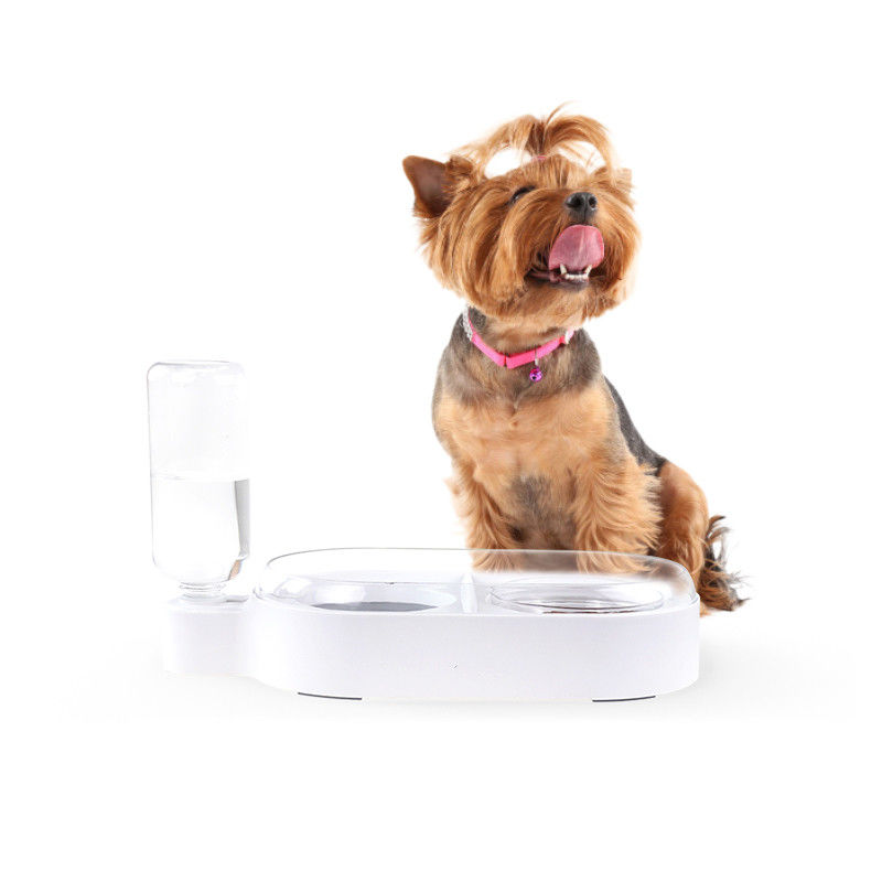 Professional Automatic Isolated Strake Spill Proof Dog Bowl 2 bowl dog feeder