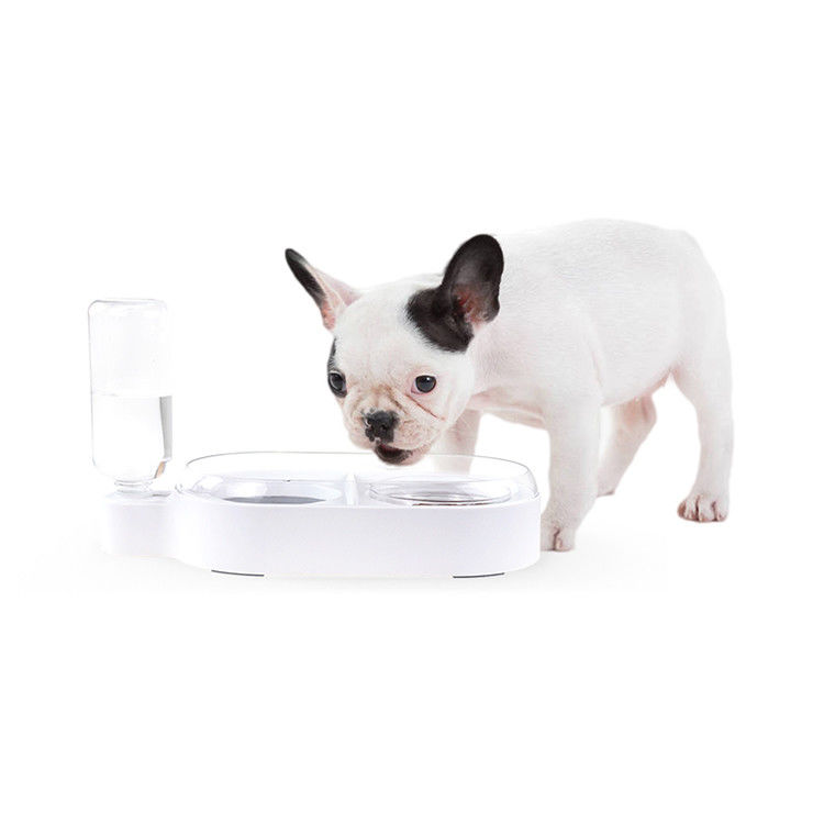Professional Automatic Isolated Strake Spill Proof Dog Bowl 2 bowl dog feeder