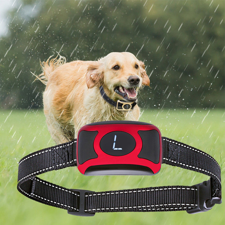 Innovative Control Pet Training Products No Bark Dog Training Shock Collars