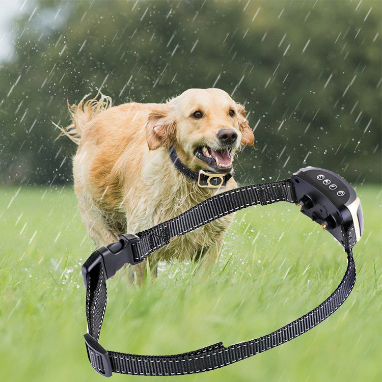 Innovative Control Pet Training Products No Bark Dog Training Shock Collars