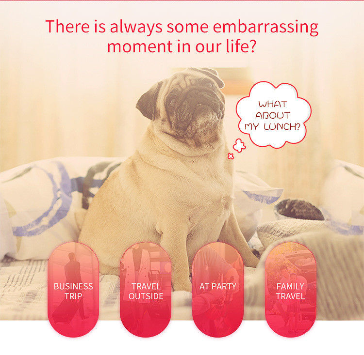 Remote Control Pet Water And Food Dispenser