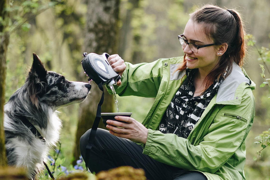 Anti Twist Collapsible Dog Leash Water Bottle ABS Plastic
