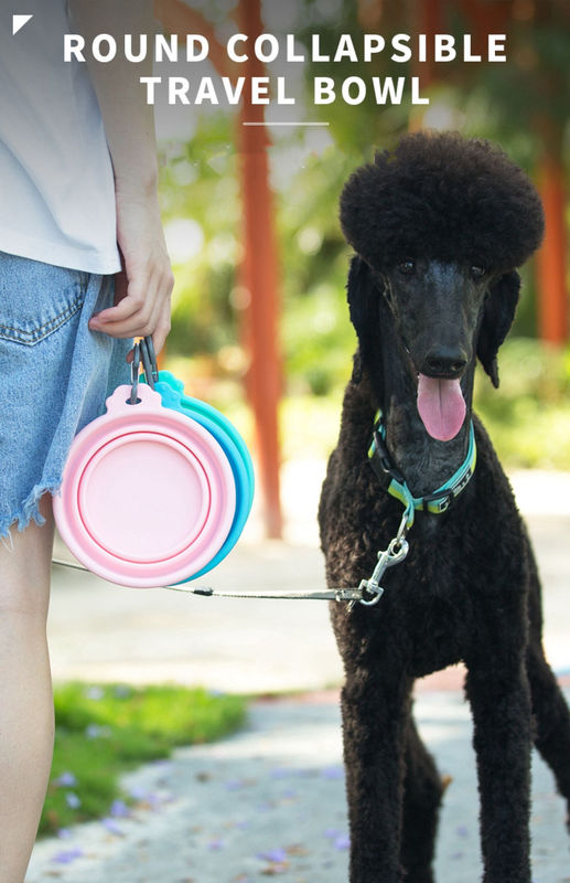 Outdoor Silicone Travel Water Bowl For Dogs Cat Dog Food And Water Bowl