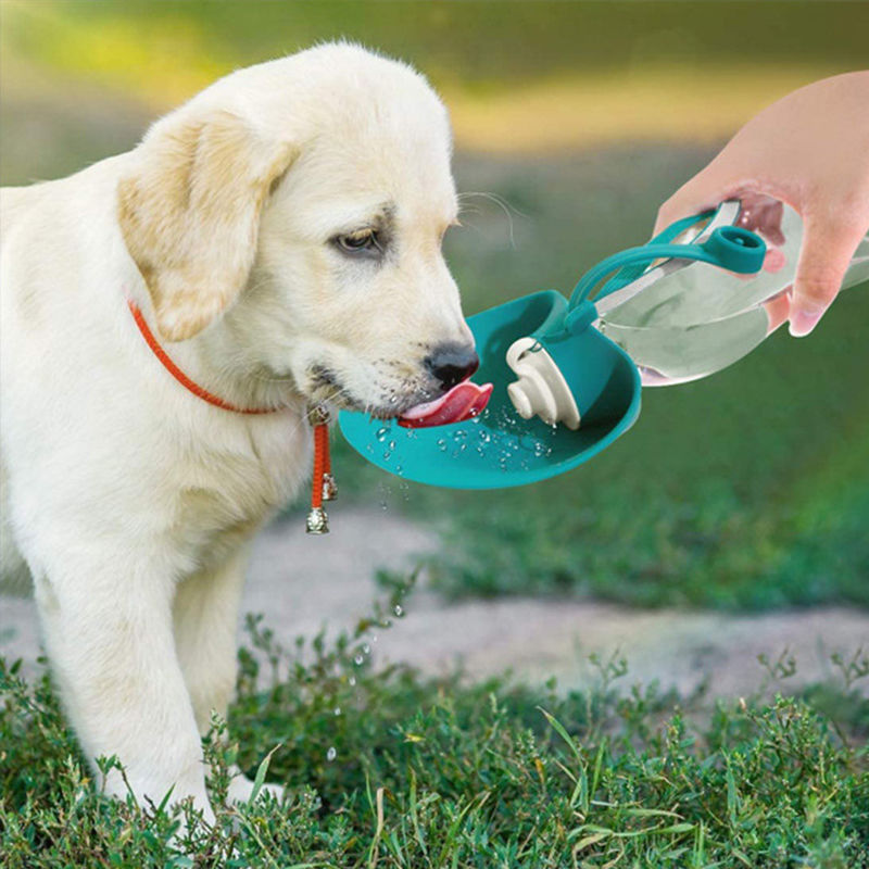 Silicone Outdoor Portable Pet Water Bottle Leak Proof Design 580ML