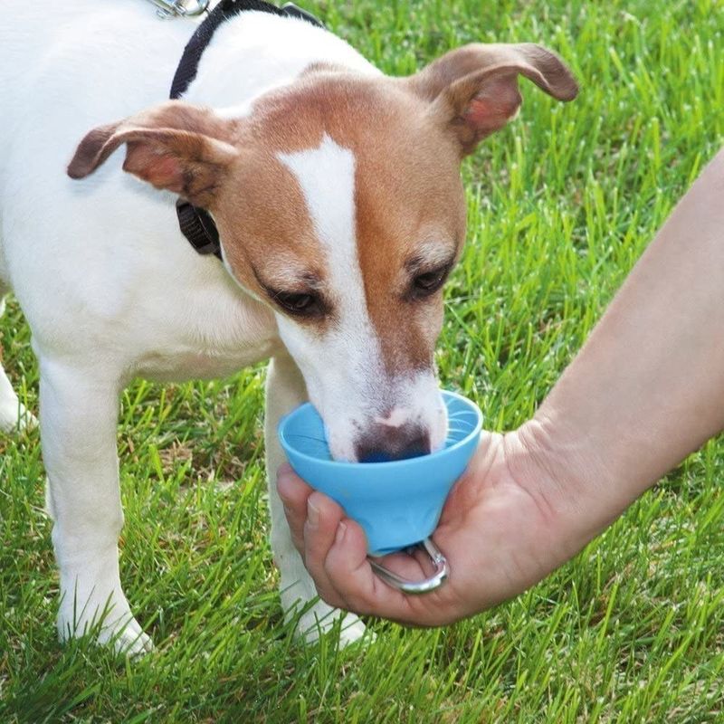 Detachable Outdoor Silicone Dog Water Bottle And Bowl 400 Ml Pet Drinking Bottle