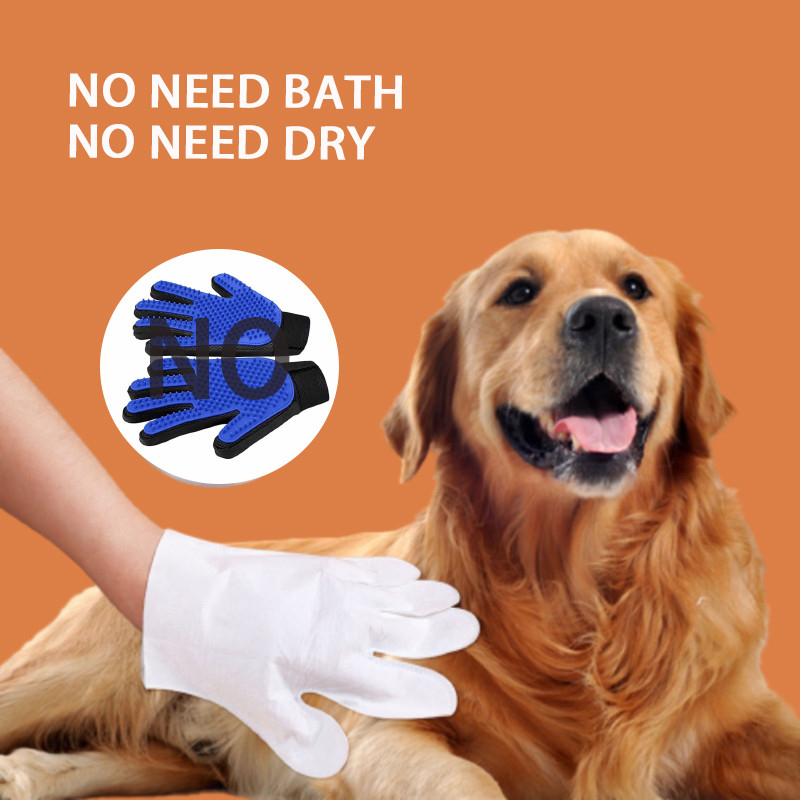 Outdoor Cleaning Bacteria Dirt Dry Touching Pet Gloves Disposable Dog Cat No Washing