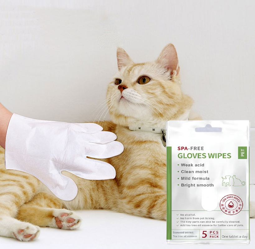 5 PCS Disposable No Rinse Pet Cleaning Gloves for Face Body Ear Paws and Butt