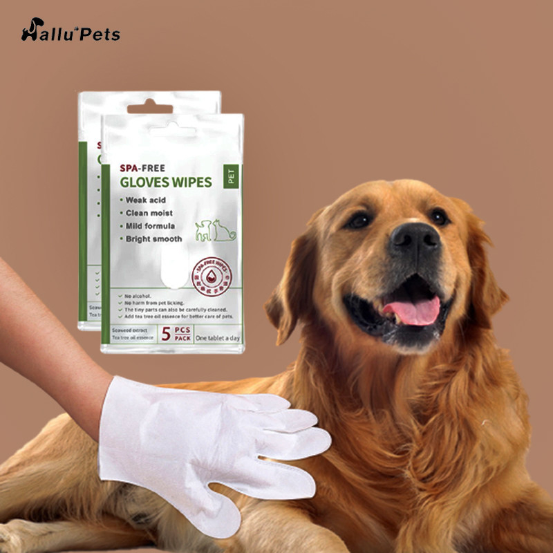 5 PCS Disposable No Rinse Pet Cleaning Gloves for Face Body Ear Paws and Butt